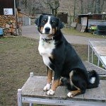 Amadeus_von_Appenzell